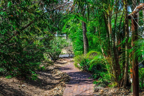 Cool Bananas Backpackers - Accommodation Sunshine Coast 15