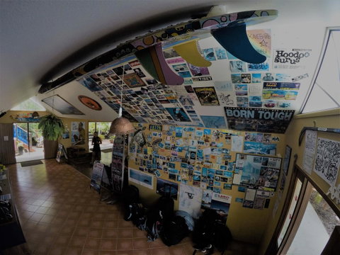 Cool Bananas Backpackers - Accommodation Sunshine Coast 31