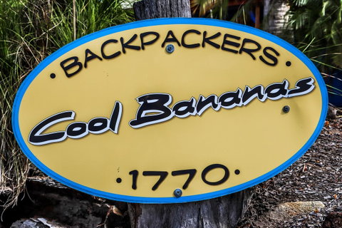 Cool Bananas Backpackers - Accommodation Sunshine Coast 38