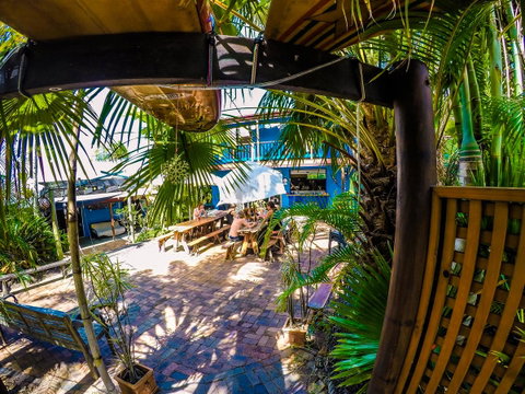 Cool Bananas Backpackers - Accommodation Sunshine Coast 0