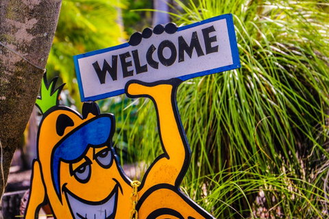 Cool Bananas Backpackers - Accommodation Sunshine Coast 37