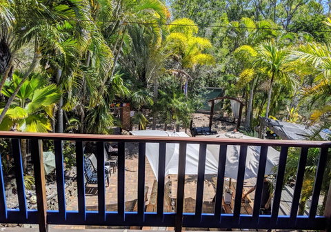 Cool Bananas Backpackers - Accommodation Sunshine Coast 4