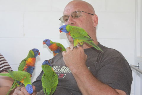 Amaroo On Mandalay, Magnetic Island - Accommodation Sunshine Coast 33