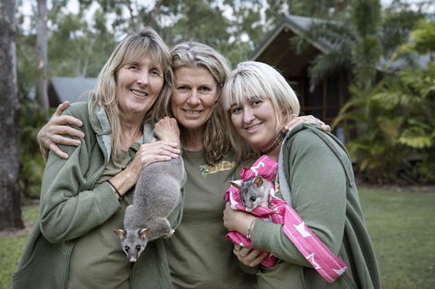 Airlie Beach Eco Cabins - Adults Only - Accommodation Sunshine Coast 23