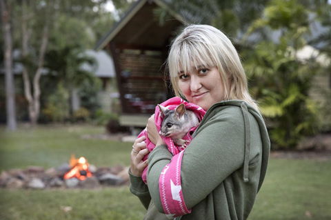 Airlie Beach Eco Cabins - Adults Only - Accommodation Sunshine Coast 31