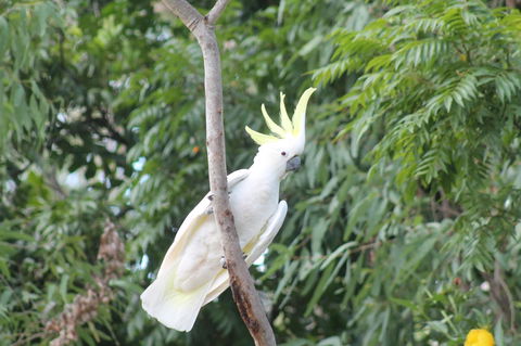 Airlie Beach Eco Cabins - Adults Only - Accommodation Sunshine Coast 4
