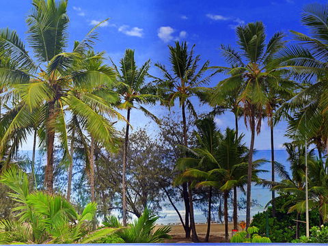 By The Sea Port Douglas - Accommodation Sunshine Coast 3