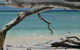 Beach Club Port Douglas Luxury Apartments - thumb 23