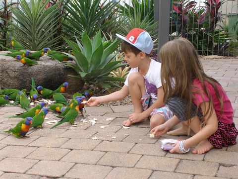 Island Leisure Resort - Accommodation Sunshine Coast 25