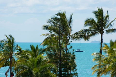 Heart Hotel And Gallery Whitsundays - Accommodation Sunshine Coast 13