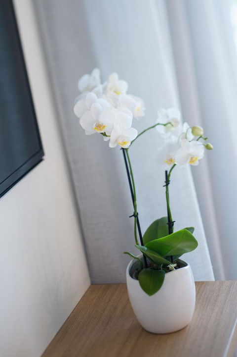 Heart Hotel And Gallery Whitsundays - Accommodation Sunshine Coast 28