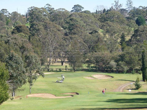 City Golf Club Motel - Accommodation Sunshine Coast 18