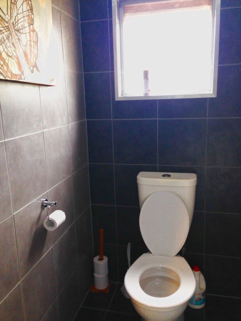 XYL Pets Friendly Seaside Boutique Guesthouse - Accommodation Sunshine Coast 5