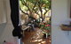 XYL Pets Friendly Seaside Boutique Guesthouse - thumb 32