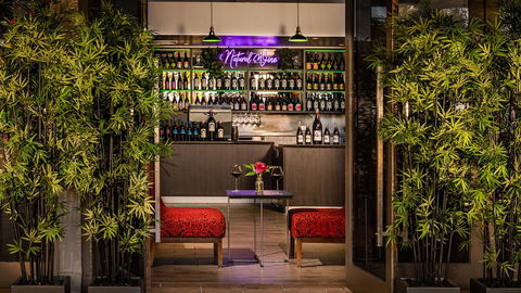 Cairns Harbourside Hotel - Accommodation Sunshine Coast 25