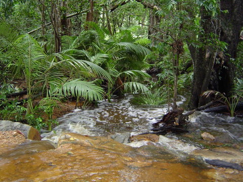 Forest Lodge: Little Villa - Accommodation Sunshine Coast 17