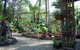 Forest Lodge: Little Villa - thumb 16