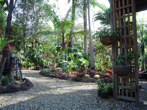 Forest Lodge: Little Villa - Accommodation Sunshine Coast 16