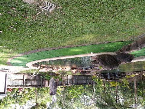 Speewah Country Tavern - Accommodation Sunshine Coast 1