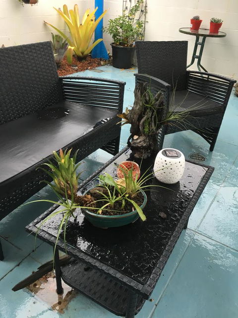 Black Marlin Motel - Accommodation Sunshine Coast 3