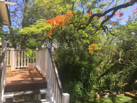 Halcyon On Bardon - Accommodation Sunshine Coast 7