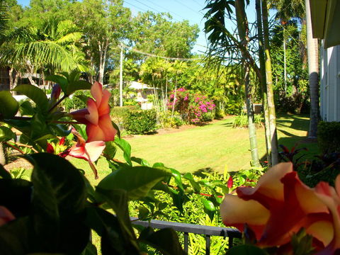 Clifton Sands Holiday Units - Accommodation Sunshine Coast 38