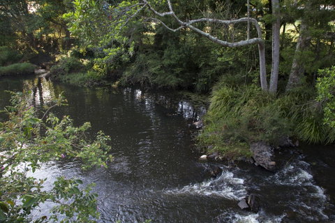 Bower 63 - Accommodation Sunshine Coast 23