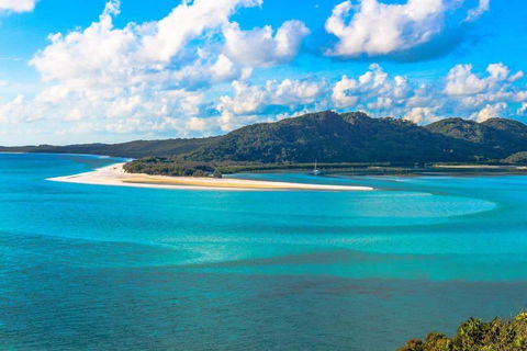 Location! 2BR Town View Unit In Centre Of Airlie. - Accommodation Sunshine Coast 19