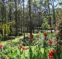 Werekataba - Accommodation Sunshine Coast