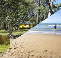 Yellow Cottage - bush and beach - Accommodation Sunshine Coast