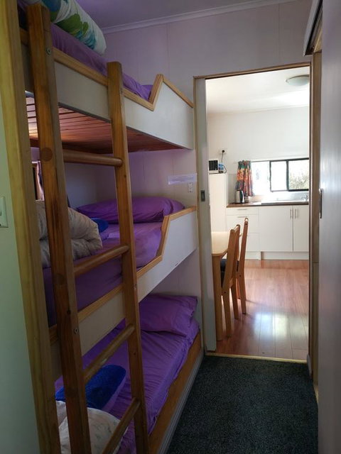 Zeehan Bush Camp - Accommodation Sunshine Coast 2