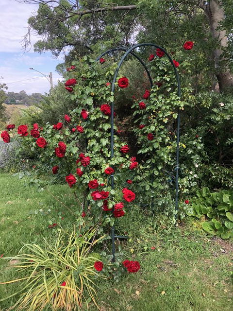 Zen Garde - Accommodation Sunshine Coast 2