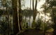 A Tamed Wilderness - thumb 3