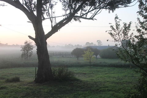 Abington Farm B & B - Accommodation Sunshine Coast 0