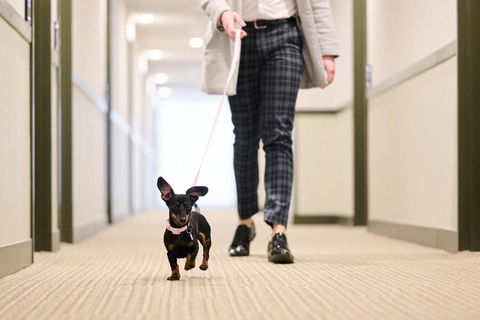 Abode Phillip - Accommodation Sunshine Coast 4