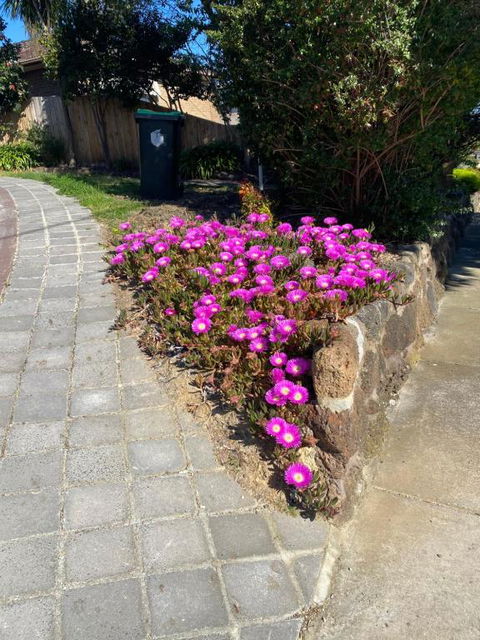 ADA Homestay - Accommodation Sunshine Coast 3