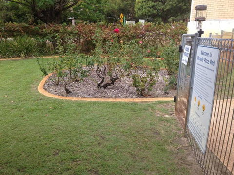 Affordable Inglewood Apartment+Pool - Accommodation Sunshine Coast 4