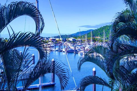 Absolute Luxury Marina Lifestyle At The Port Of Airlie Beach - Accommodation Sunshine Coast 4