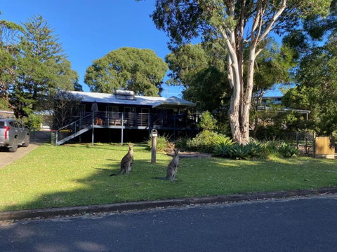All Decked Out - Accommodation Sunshine Coast 1