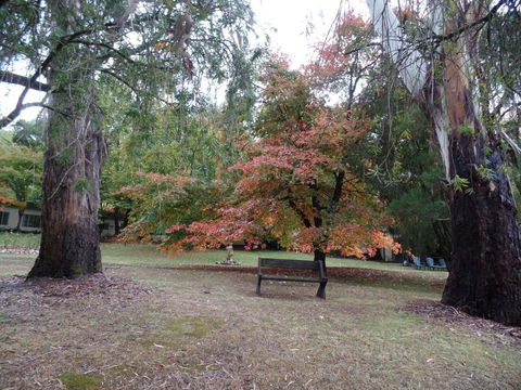 Alpine Riverside Cottages - Accommodation Sunshine Coast 4