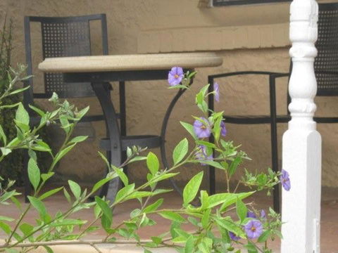 Amalie Cottage Waikerie Unit 1 - Accommodation Sunshine Coast 2