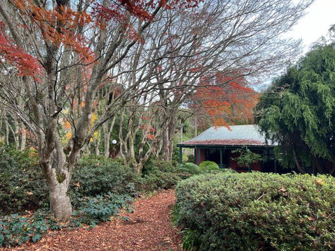 Amaroo Guesthouse - Accommodation Sunshine Coast 1