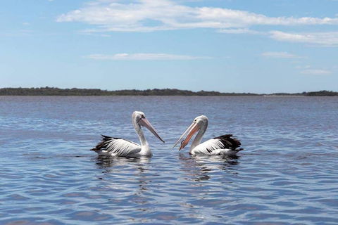 Amazing Ansons Bay Remote Paradise For The Family In The Bay Of Fires Area - Accommodation Sunshine Coast 2