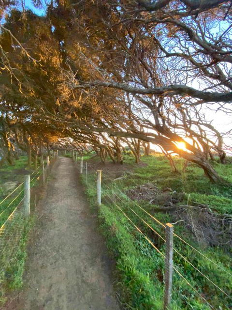 Anglesea Rivergums - Accommodation Sunshine Coast 3