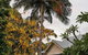 Arcadia House - thumb 3