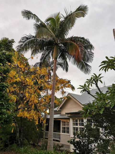 Arcadia House - Accommodation Sunshine Coast 3