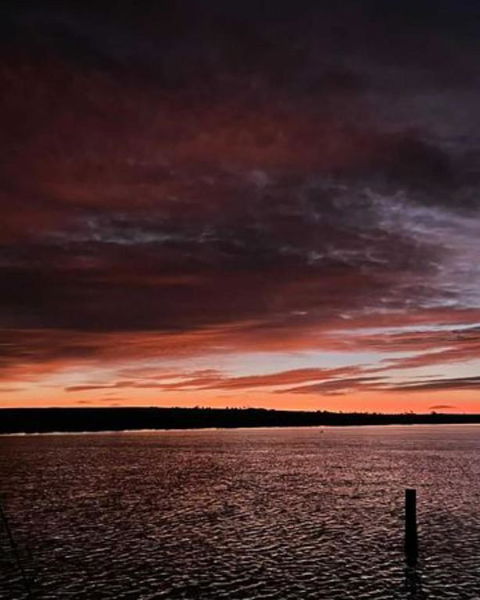 Ark-imedes - Unique Float Home On The Murray River - Accommodation Sunshine Coast 4