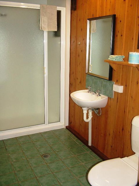 Atherton Blue Gum - Accommodation Sunshine Coast 4