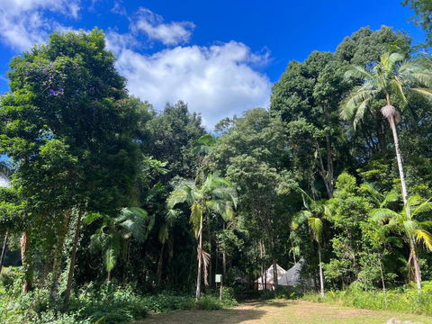 Avana Byron Glamping - Accommodation Sunshine Coast 2