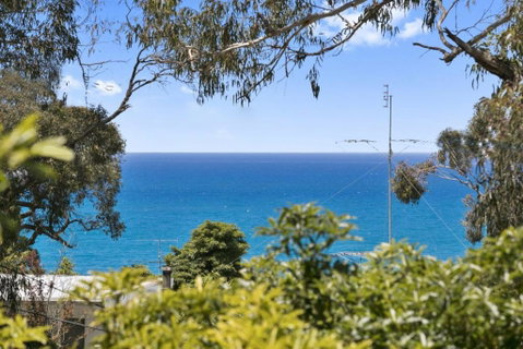 Avirgonia - Accommodation Sunshine Coast 2